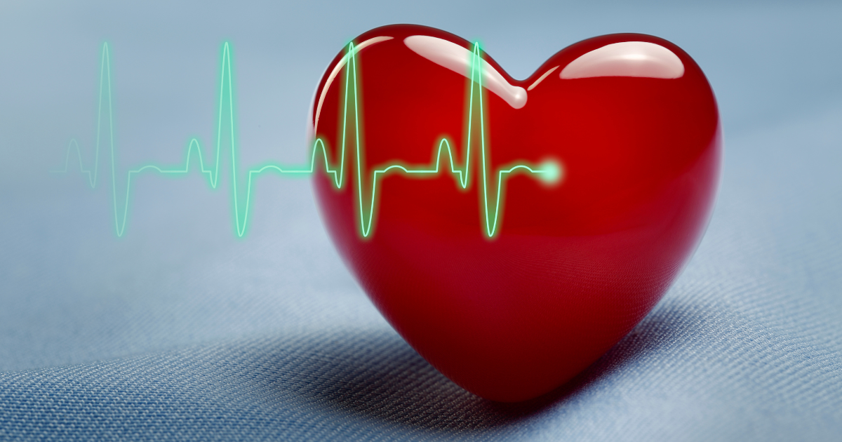 An echocardiogram and heart shape represent the fact that this is Heart Month.